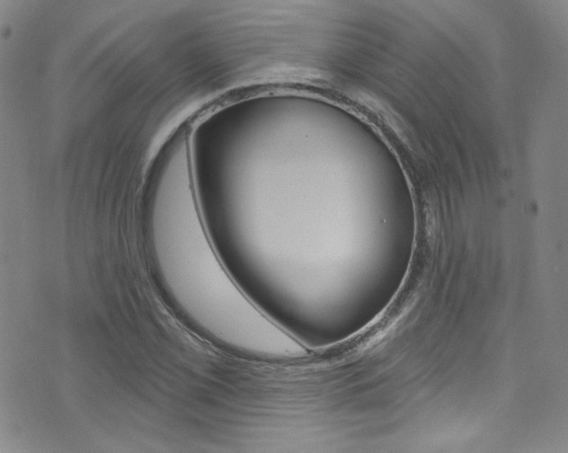 X0000072991069200607211025