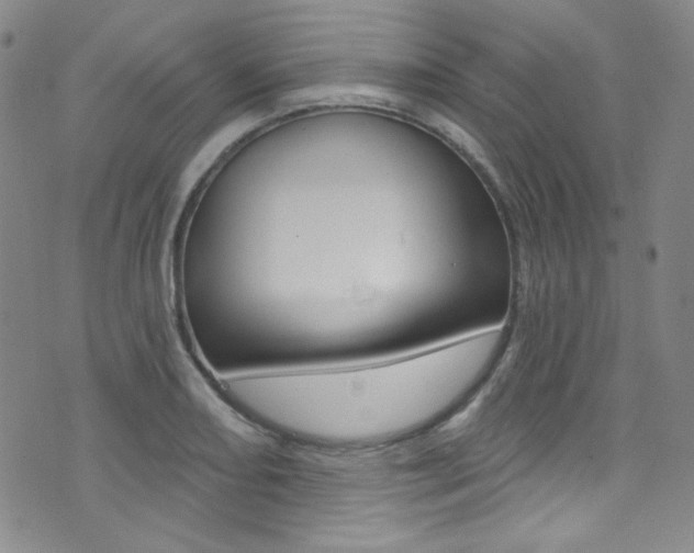 X0000072991082200607211025