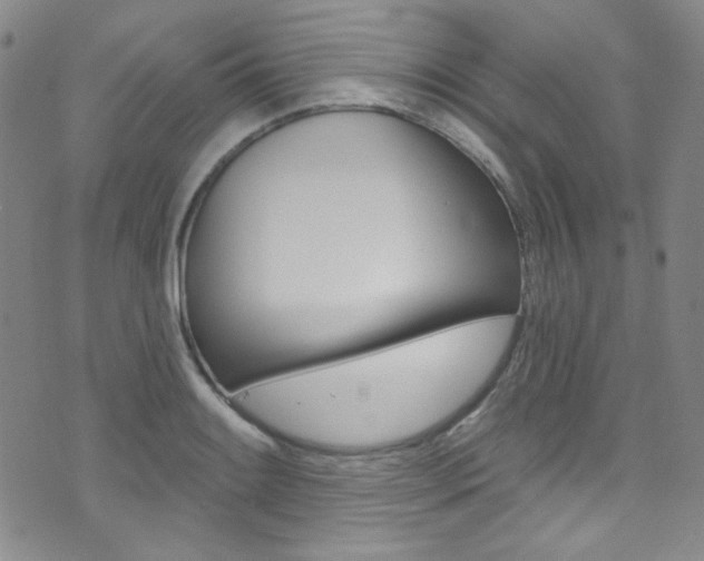 X0000072991084200607211025