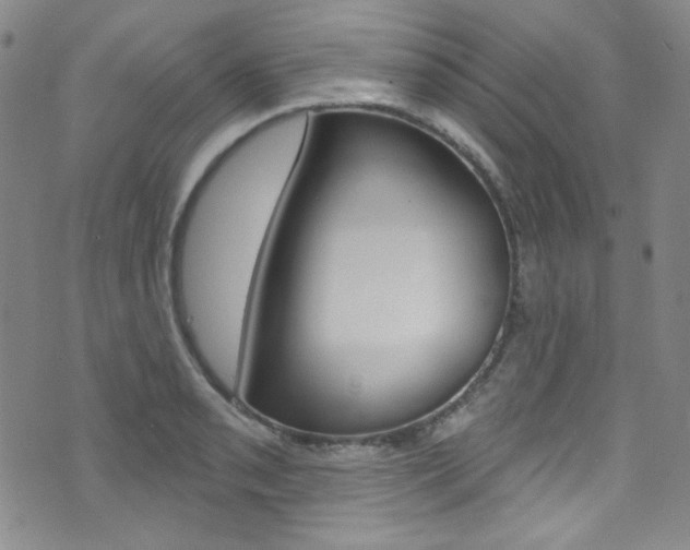 X0000072991085200607211025