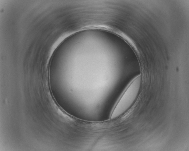 X0000072991102200607211024