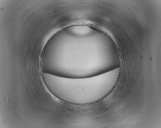 X0000072991103200607211024