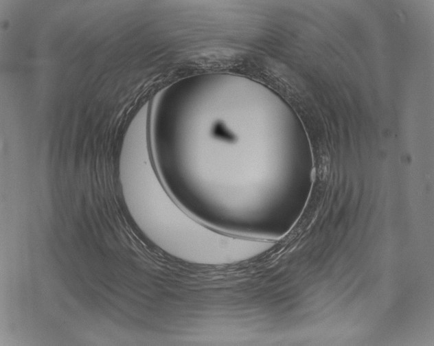 X0000072991108200607211024