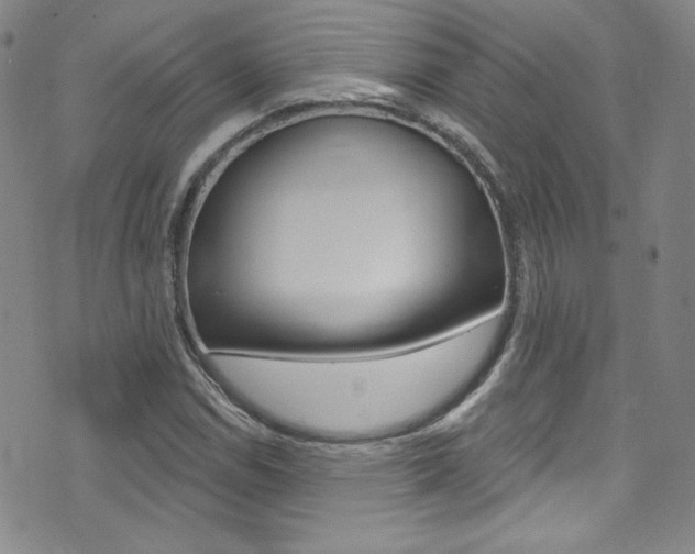 X0000072991114200607211024