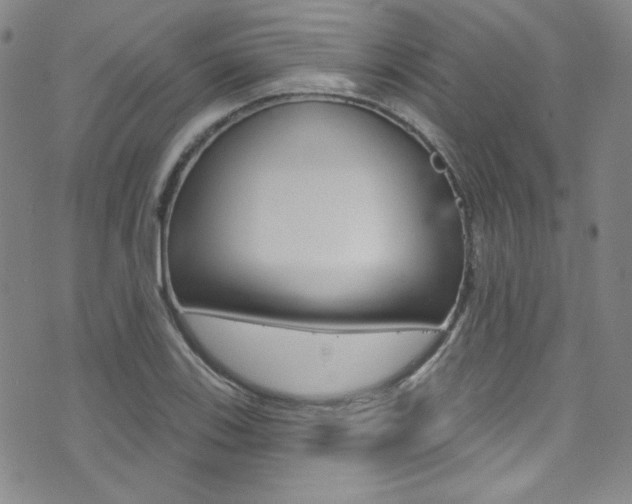 X0000072991123200607211024