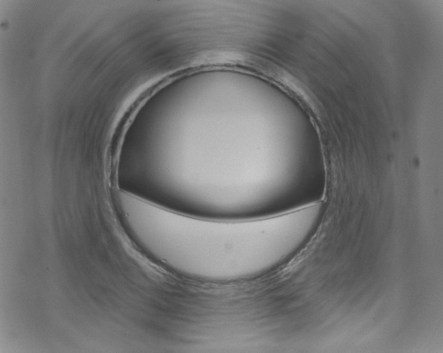X0000072991124200607211024