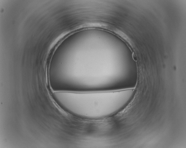 X0000072991127200607211024