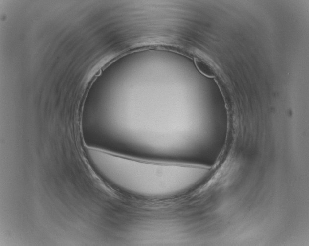 X0000072991129200607211024