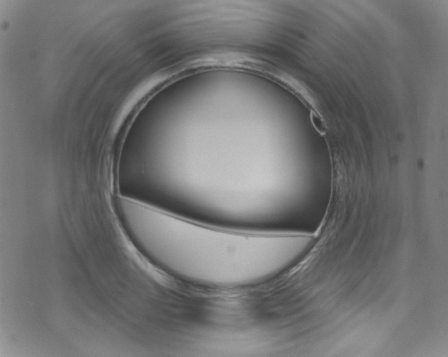 X0000072991131200607211024