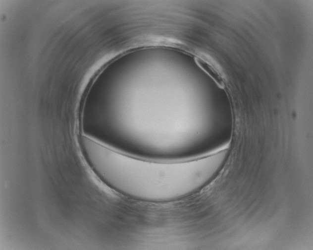 X0000072991136200607211024