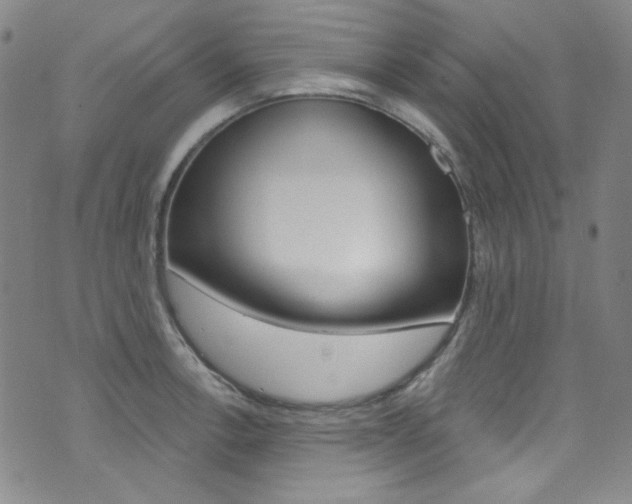 X0000072991138200607211024