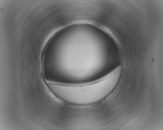 X0000072991140200607211024