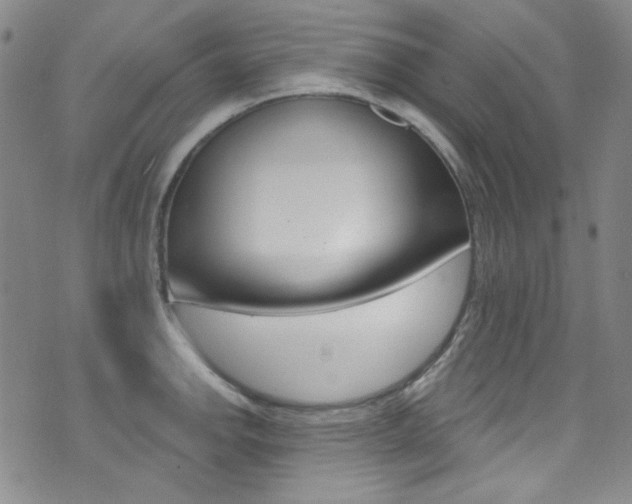 X0000072991142200607211024