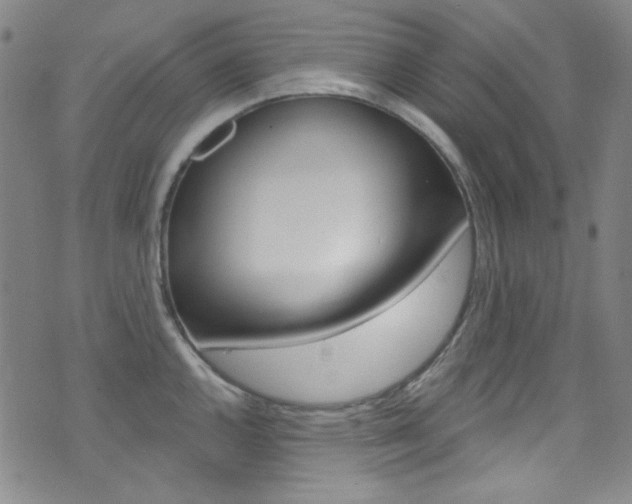 X0000072991144200607211024