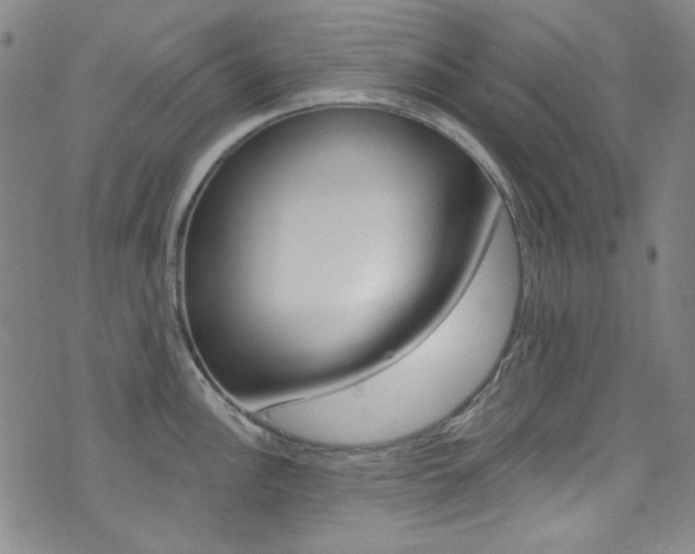 X0000072991148200607211024
