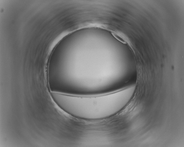 X0000072991151200607211024