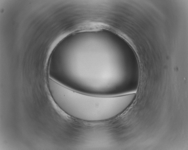 X0000072991152200607211024