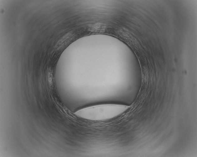 X0000072991154200607211024