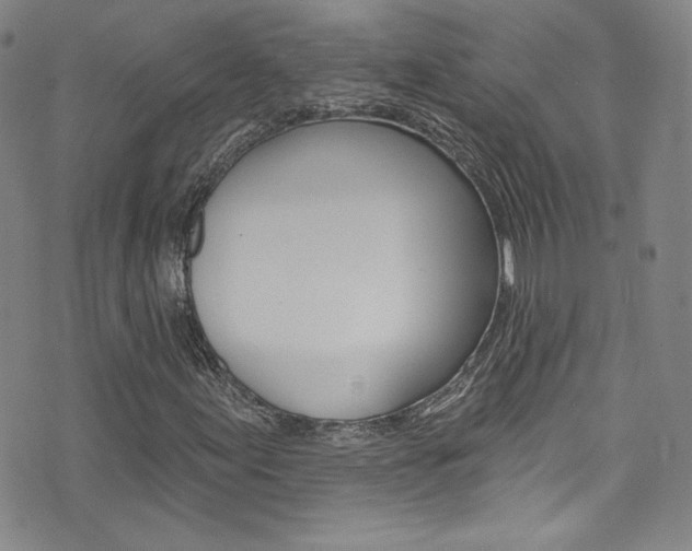 X0000072991155200607211024