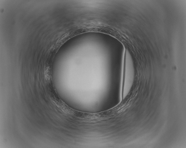 X0000072991156200607211024