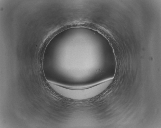 X0000072991160200607211023