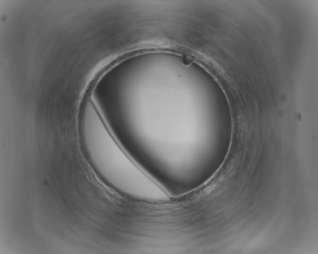 X0000072991168200607211023