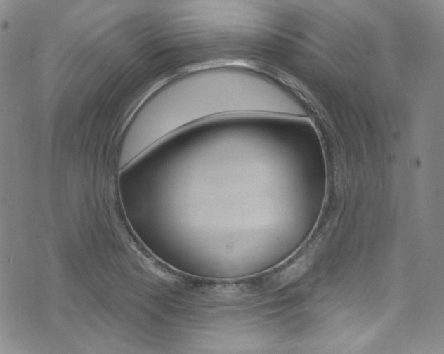 X0000072991177200607211023