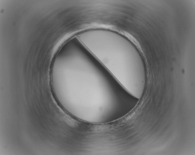 X0000072991183200607211023