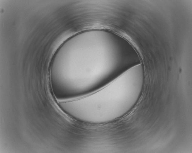X0000072991187200607211023
