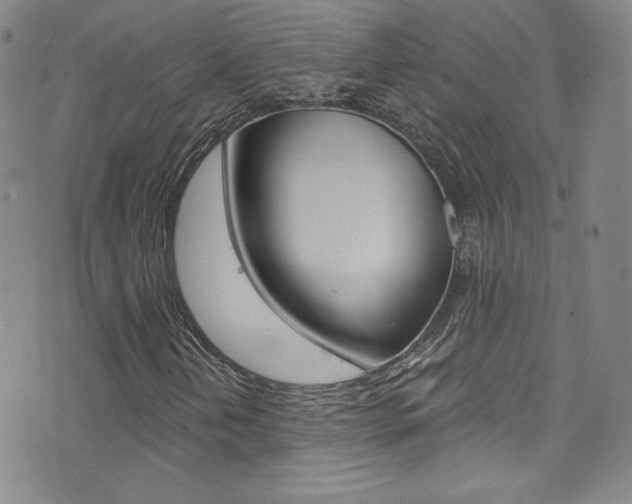 X0000072991202200607211022