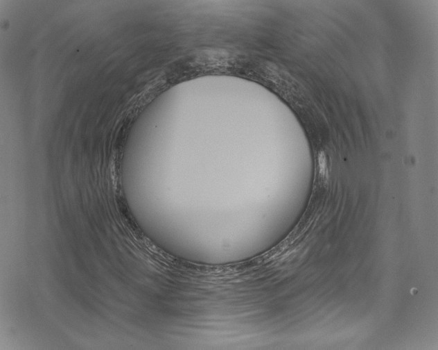 X0000072991203200607211022