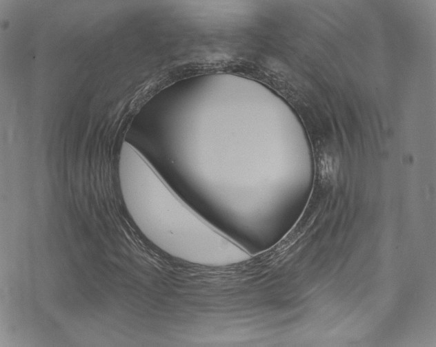 X0000072991204200607211022