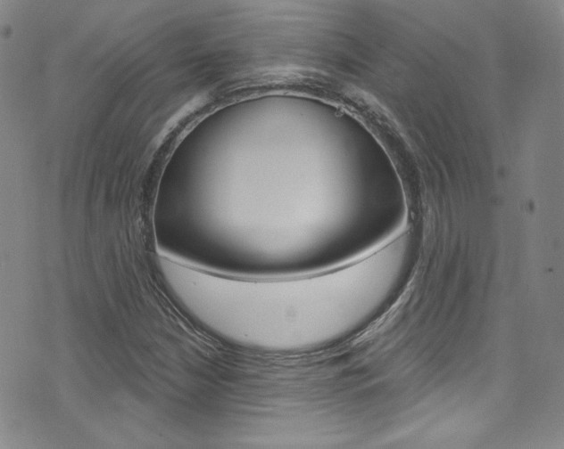 X0000072991210200607211022