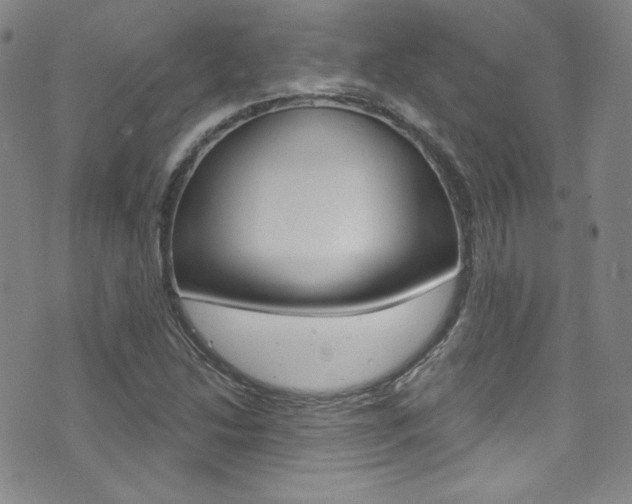 X0000072991214200607211022