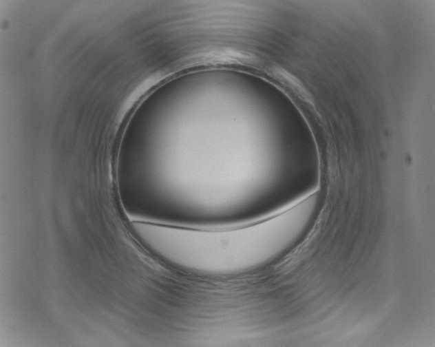 X0000072991226200607211022