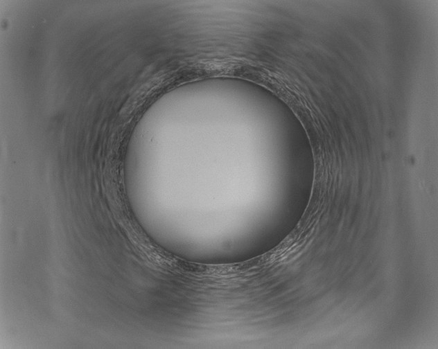 X0000072991249200607211022
