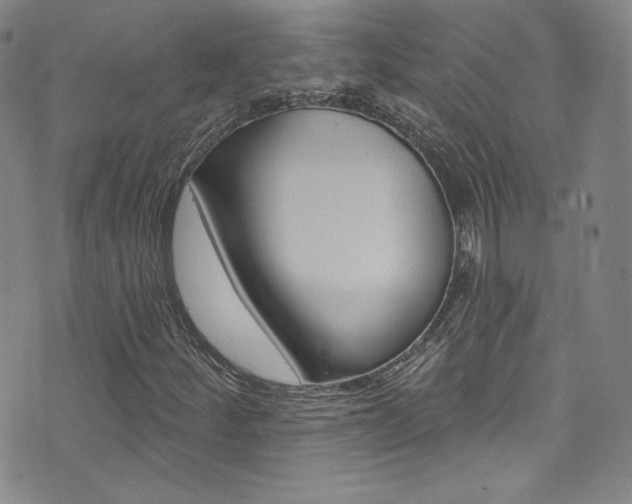 X0000072991252200607211022
