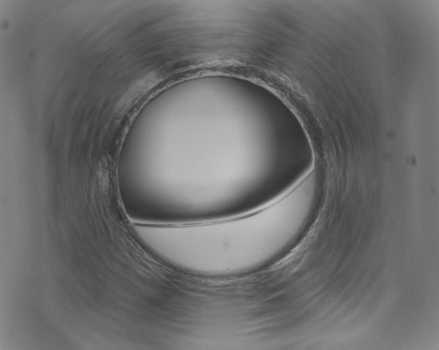 X0000072991257200607211022