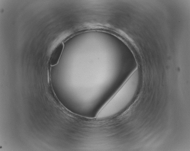 X0000072991269200607211022