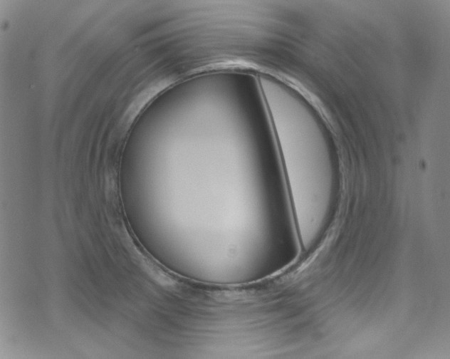 X0000072991281200607211021