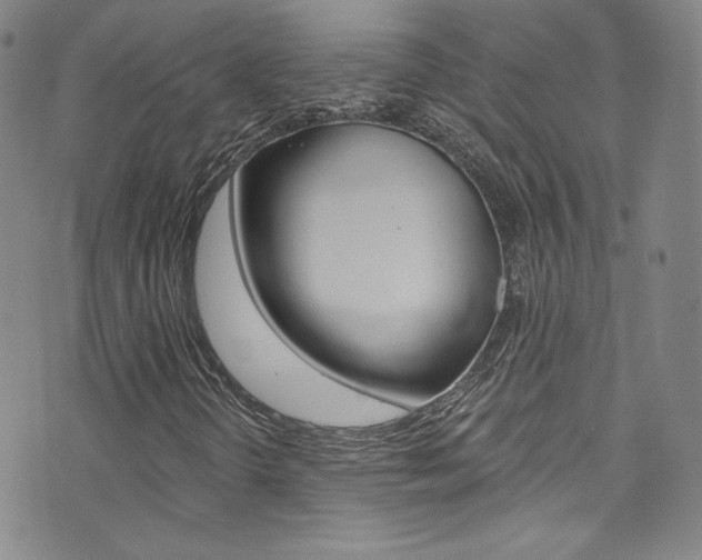X0000072991298200607211020