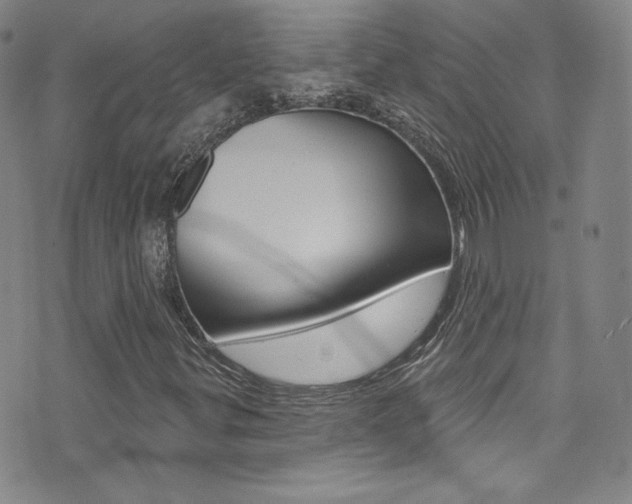 X0000072991299200607211020