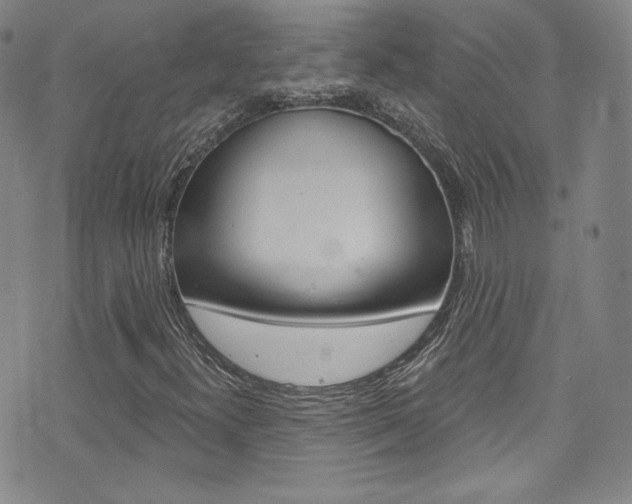 X0000072991300200607211020