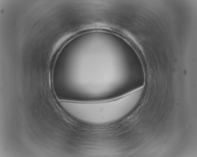 X0000072991320200607211021
