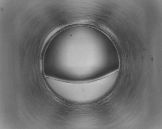 X0000072991324200607211021