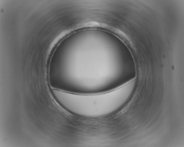 X0000072991326200607211021