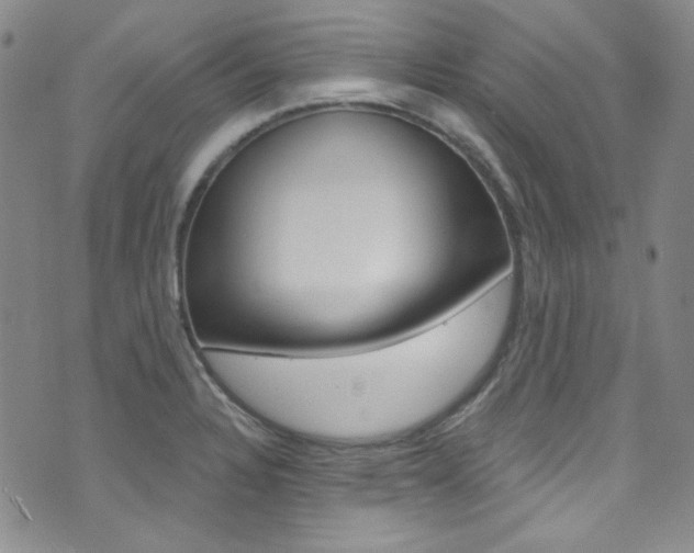 X0000072991328200607211021