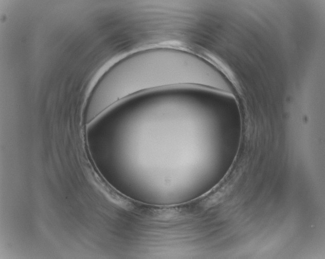 X0000072991332200607211021