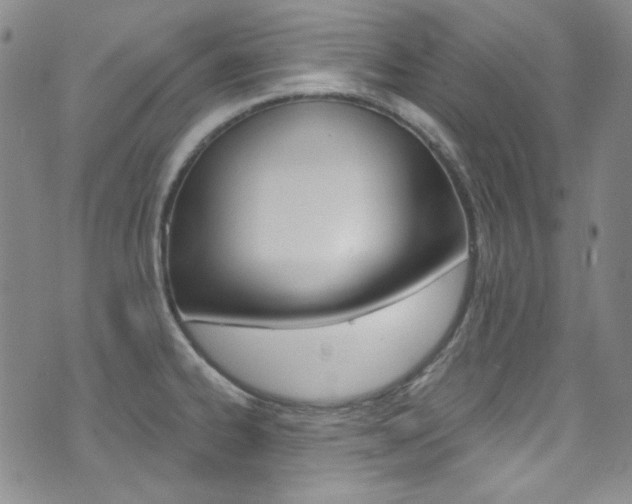 X0000072991334200607211021
