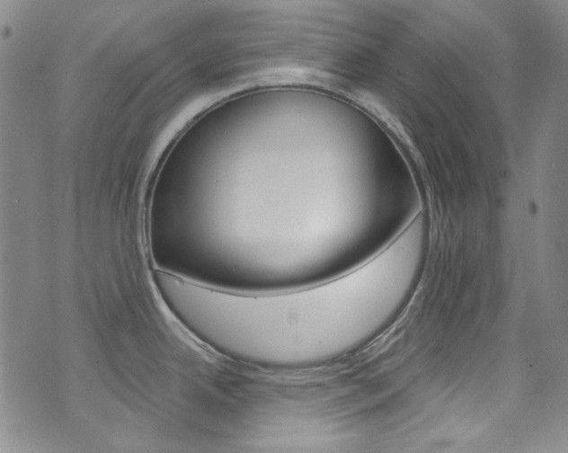 X0000072991342200607211021